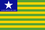 PI flag