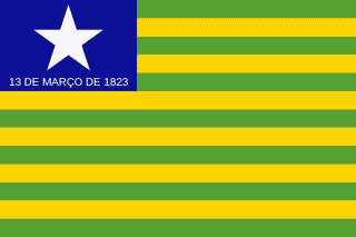 PI flag